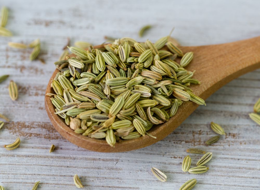 Fennel Seeds (Whole)